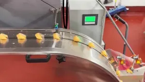 Envasadora horizontal flow pack SF-C con control servo optimizado