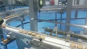Sistema automático de envasado de galletas