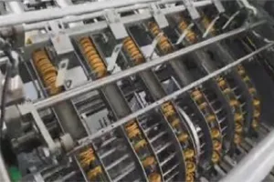 Sistema automático de envasado de galletas