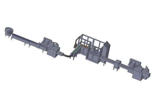 Sistema automático de envasado secundario